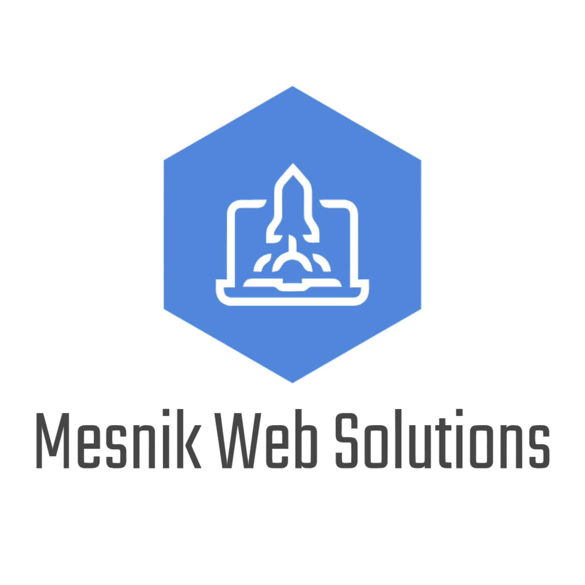 Mesnik Web Solutions